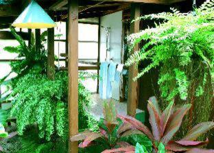 Rarotonga Beach Bungalows - 4