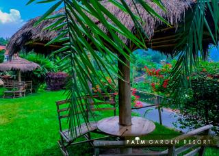Palm garden Resort - 1
