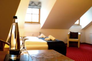 Landhotel Donaublick - Obernzell - 9