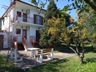 Manousi 1- Ground floor - Mystras (Mistra) - 3