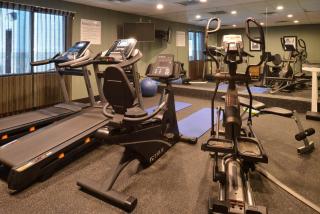 Holiday Inn Express Hotel & Suites Youngstown - North Lima/Boardman by IHG - North Lima - 3