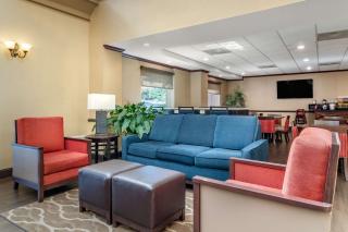 Comfort Inn & Suites Suwanee - Sugarloaf - 3
