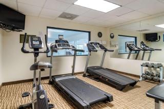 Comfort Inn & Suites Suwanee - Sugarloaf - Suwanee - 8