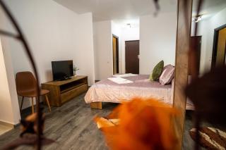 Seasons Primab Studio - Brasov - 4