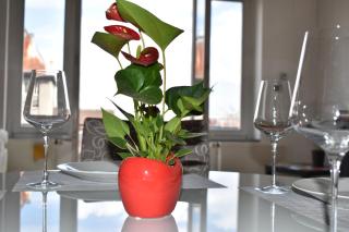 Apartment Tino - Zagreb - 7