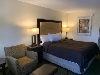 Blackwater Inn Milton - 5