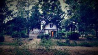 Vidago Palace - Vidago - 9