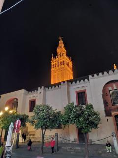 Living Triana House - 6