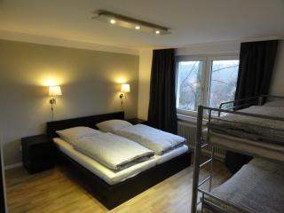 Harzidyll Living Apartements - Braunlage - 2