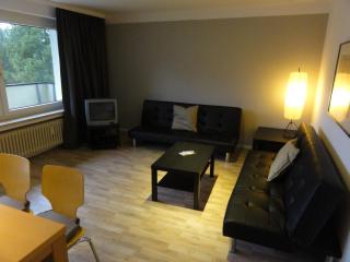Harzidyll Living Apartements - Braunlage - 1