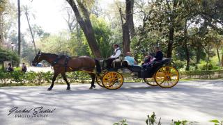 Sherry house - Jerez de la Frontera - 1