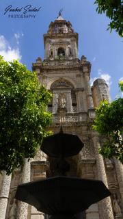 Sherry house - Jerez de la Frontera - 3