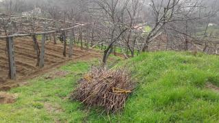 La Casa in Vigna - Tramonti - 3