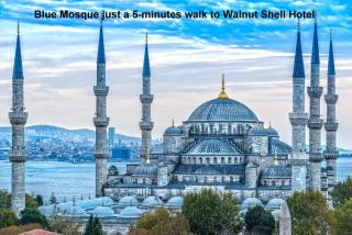 Walnut Shell Hotel - 1