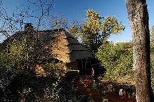 Motswiri Private Safari Lodge - 2