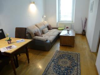 Charming, central, spacious apartment - Innsbruck - 5