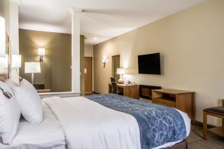 Comfort Suites Hotel and Conference Center - 4