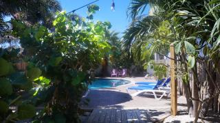 Pauline's Apartments - Palm-Eagle Beach - 0