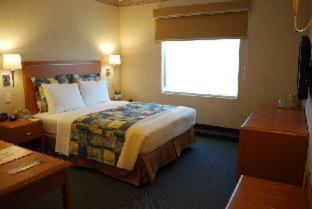 Rio Vista Inn Business High Class Hotel Poza Rica - Poza Rica de Hidalgo - 8