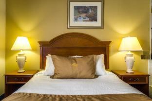 Monte Carlo Inn Markham - 2
