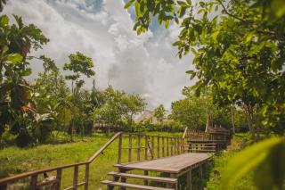Uni Rao Centro Ecológico - Pucallpa - 5