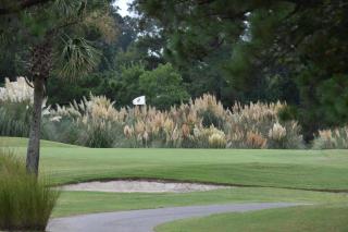 Brunswick Plantation Golf Studio 604L - Calabash - 1
