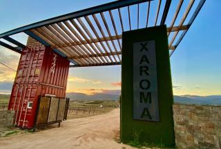 Xaroma - Valle de Guadalupe - 8