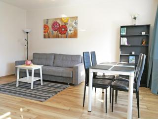 Šiauliai Central Apartment @ Trakų street - Šiauliai - 0