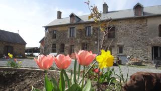 La Petite Houssaye Gite - Villiers-Fossard - 9