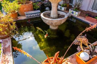 Finca Las Brisas - Mijas - 4