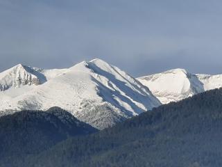 Simonen Apartments near the Gondola - 4
