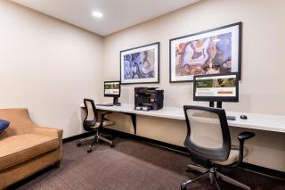 Candlewood Suites Eau Claire I-94 by IHG - Eau Claire - 4