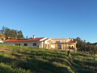 Casa Limonina - Louriçal - 7