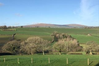 The Nest - Modbury - 9