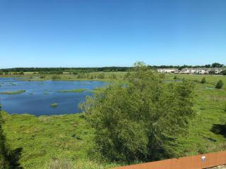 Candlewood Suites Houma by IHG - Houma - 7