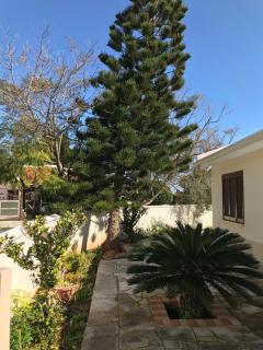 Mimosa Villa - 6