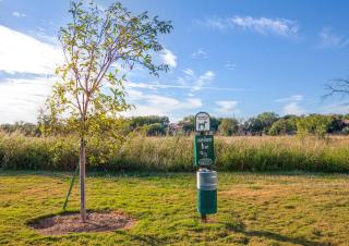 Candlewood Suites Georgetown by IHG - 9