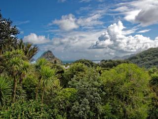 Surfer's Sunshine Cottage - Piha Holiday Home - Piha - 9