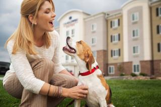 Candlewood Suites Santa Maria by IHG - Santa Maria - 5