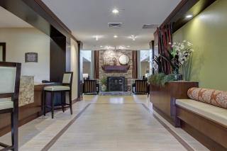 Staybridge Suites St Louis - Westport by IHG - Maryland Heights - 7