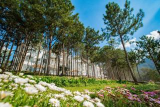 CEREJA Hotel & Resort Dalat - Da Lat - 3
