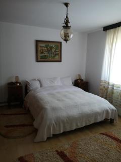 Casa Gotika - Vama - 2