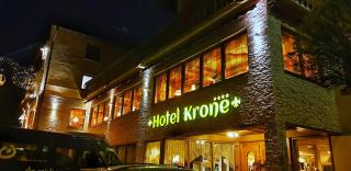 Hotel Krone Igelsberg - Freudenstadt - 8