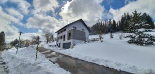 Adlernest - Feldberg - 8