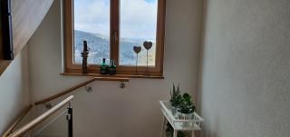 Adlernest - Feldberg - 2