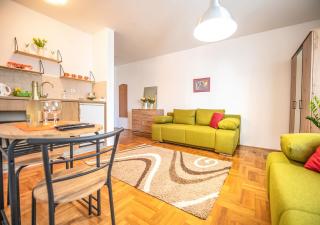 Mina Penthouse - Novi Sad - 6