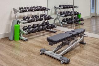 Holiday Inn Express South Portland by IHG - South Portland - 9