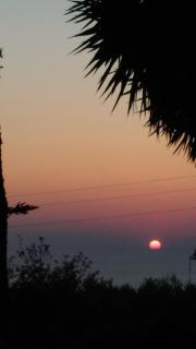 Il Casalino Apartment - 3