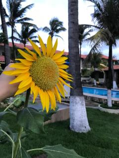 Pousada Isca do Sol - Pecém - 8