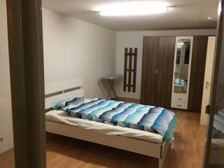 Luxurious Business or Family Apartment near Daimler and city center - 9